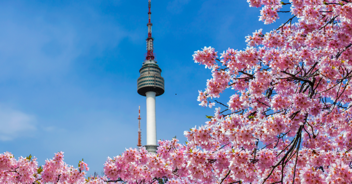 review cac diem tham quan gan seoul trong mot lich trinh du lich 1 ngay