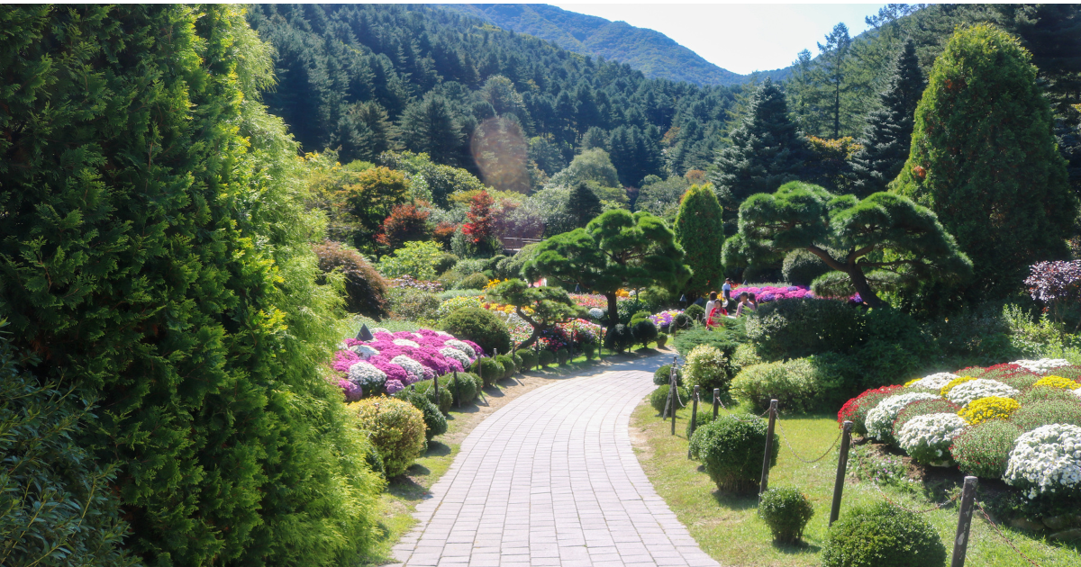 Vườn Garden of Morning Calm